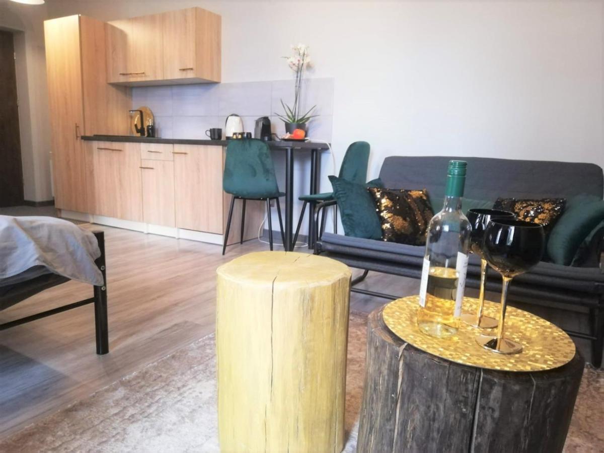 Apartament Czarne Złoto Katowice Zewnętrze zdjęcie